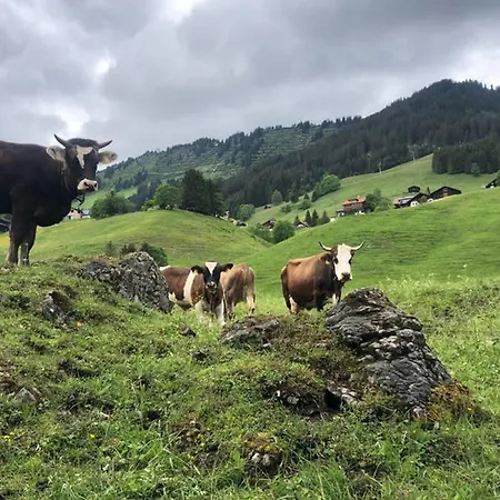 Groot In Met Prachtig Uitzicht Mittelberg